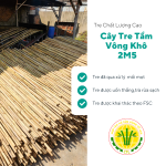 Cây Tre Tầm Vông 2 Mét Rưỡi