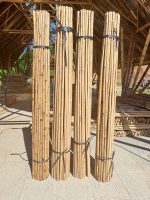 Cây Tre Tầm Vông 2 Mét - Ảnh 2